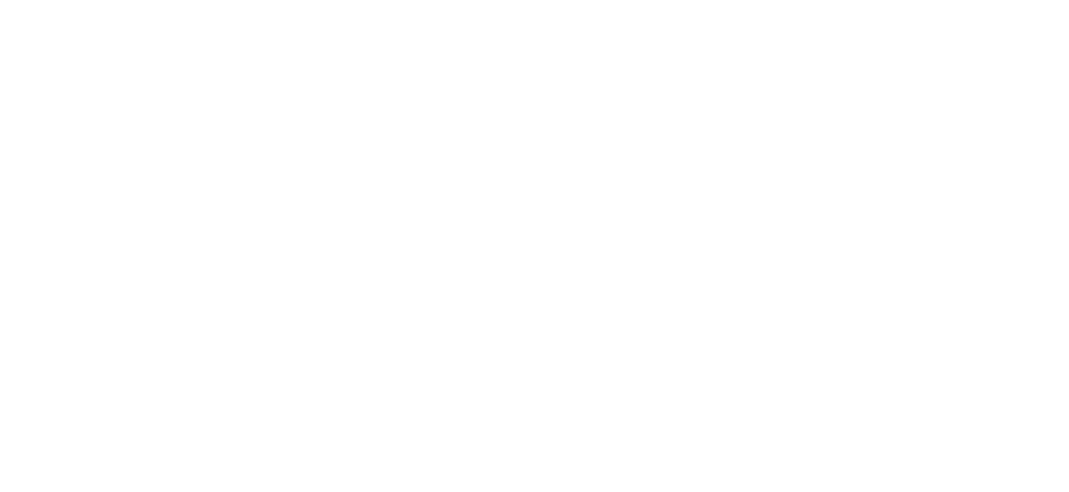 DLX logo