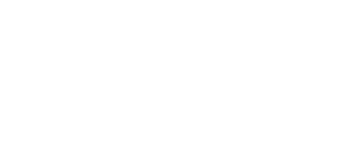 DLX logo
